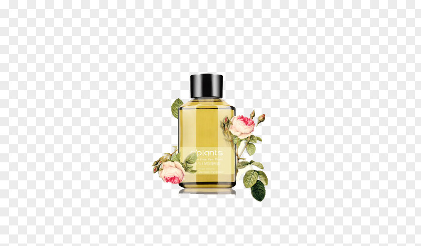 Rose Hydrating Toner Roman Chamomile Perfume Moisturizer PNG
