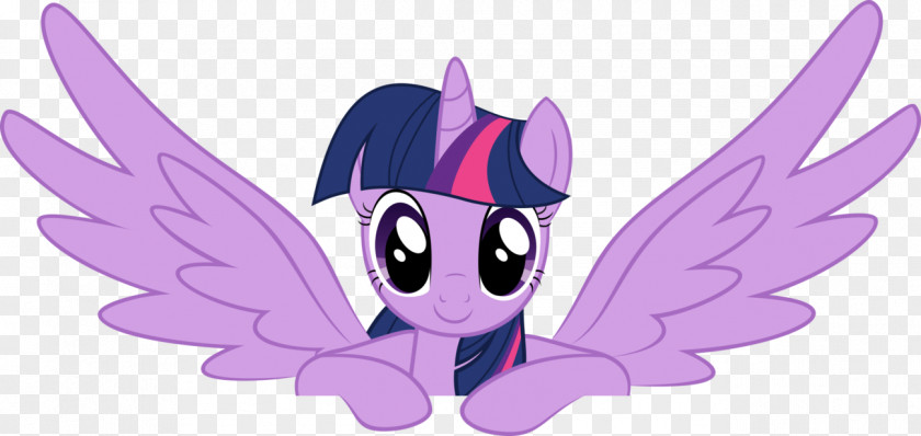 Sparkles Twilight Sparkle Pony Rainbow Dash Amethyst, Princess Of Gemworld Winged Unicorn PNG