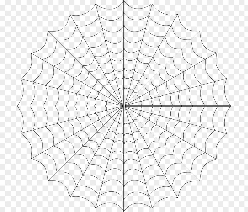 Spider Cobweb Web Clip Art PNG