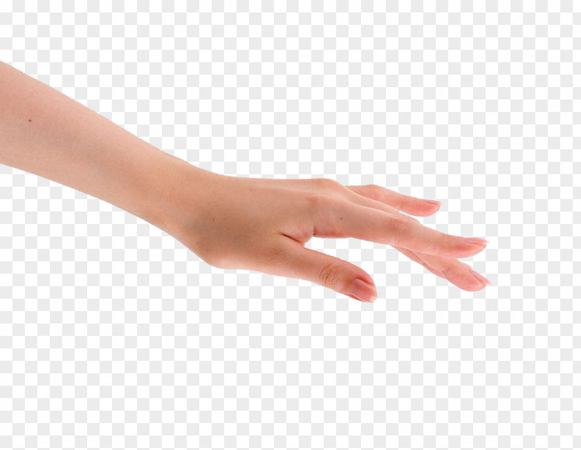 Whitened Fingers Hand Finger Visual Arts Gesture PNG