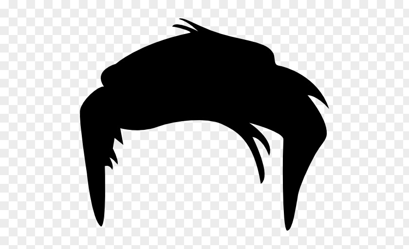 Wig Hairstyle Black Hair PNG