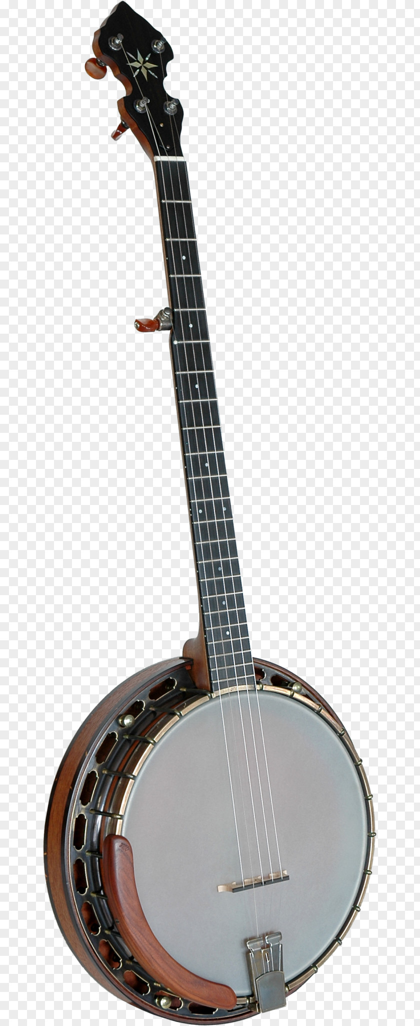 Acoustic Guitar Banjo Bass Cavaquinho PNG