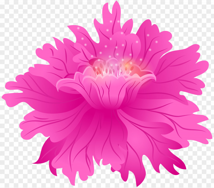 Aster Cut Flowers Pink Flower China Petal Plant PNG