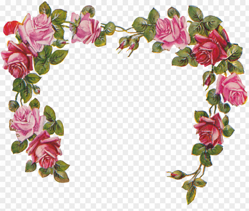 Rose Frame Cherub Smiling Angel Clip Art PNG