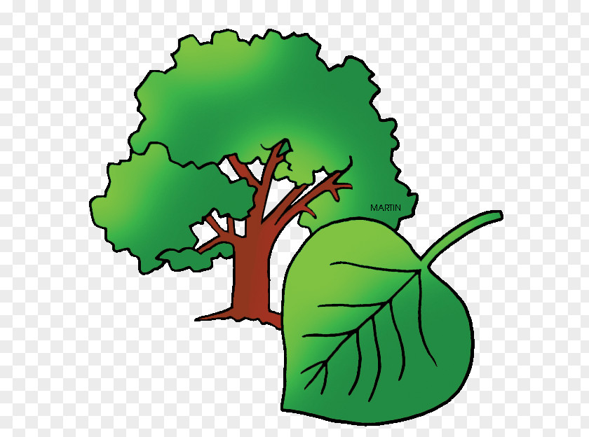 Wyoming Cliparts Cottonwood Plant Cell Populus Sect. Aigeiros Clip Art PNG