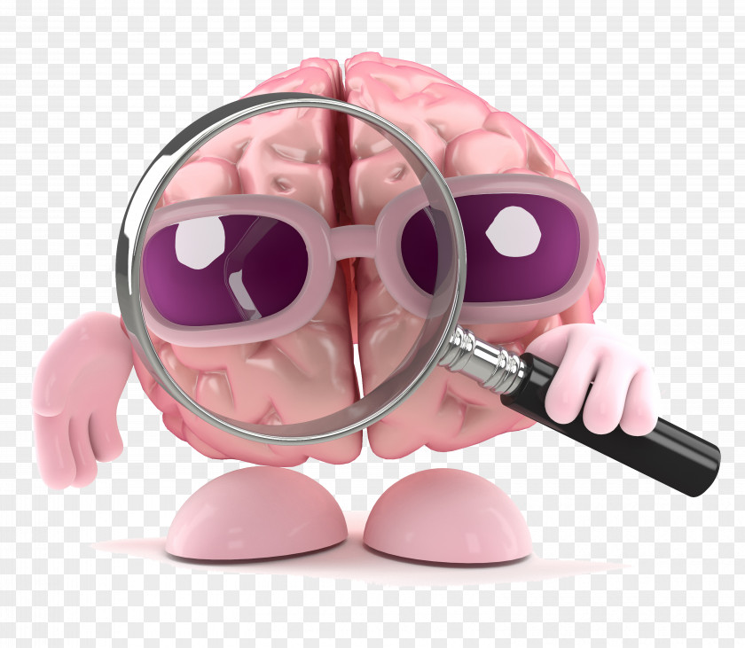 Brain Cartoon Design Picture Magnifying Glass Stock Photography PNG