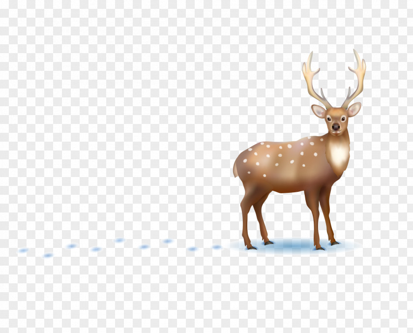 Bull Elk Vector Graphics Illustration Royalty-free Stock Photography Image PNG