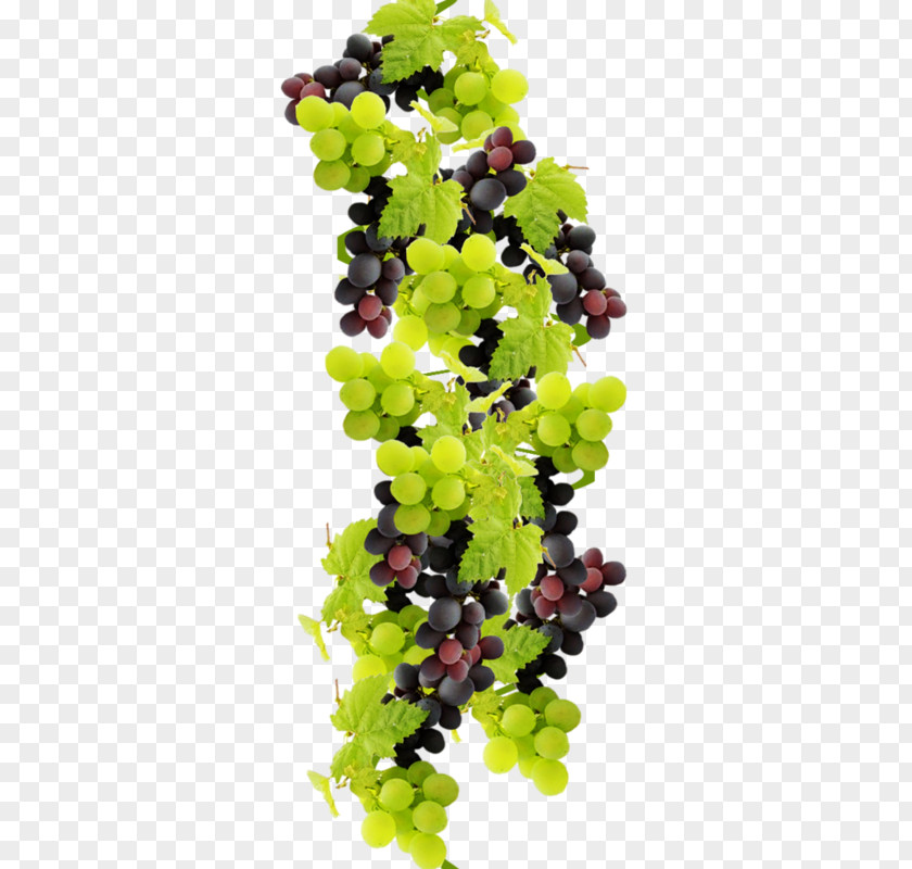 Grape Wine Food Juice Fruit PNG