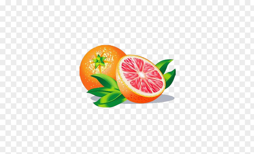 Grapefruit Juice Lemon PNG