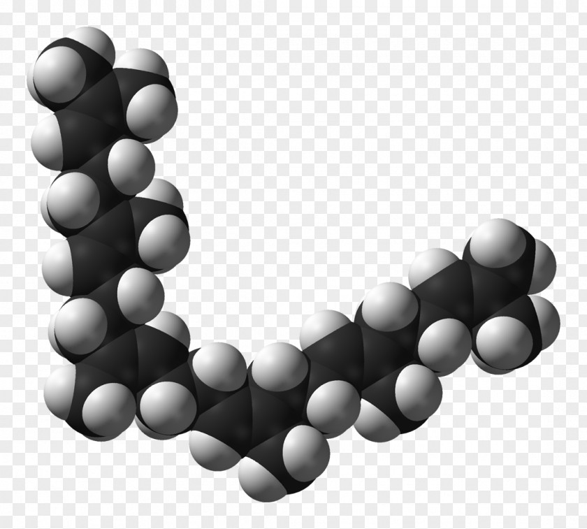 Photographer Patent Duran SCHOTT AG AlgaTechnologies Ltd. Astaxanthin PNG