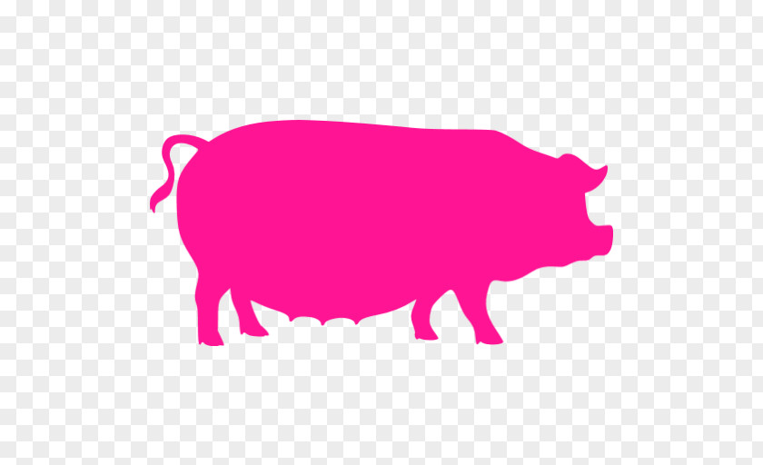 Pig Domestic Butcher Diagram Bacon PNG