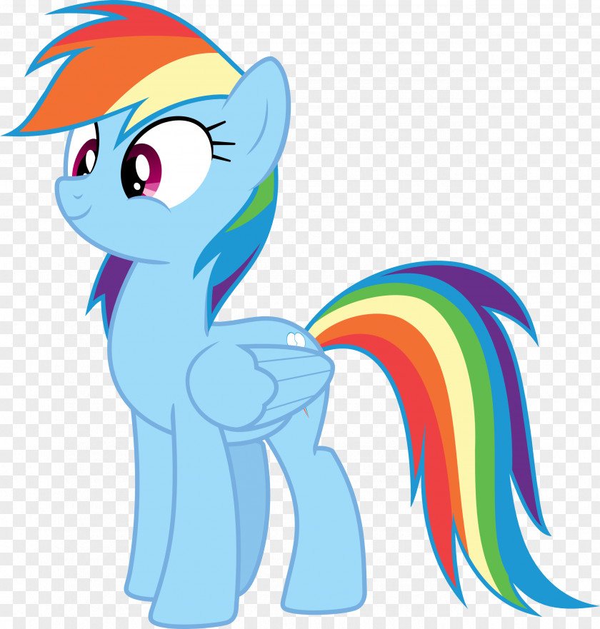 Rainbow Dash Pinkie Pie Applejack Rarity Pony PNG