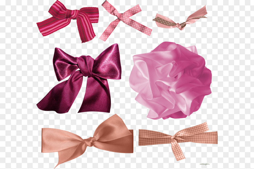 Ribbon Gift Bow Tie Pink M Shoelace Knot PNG
