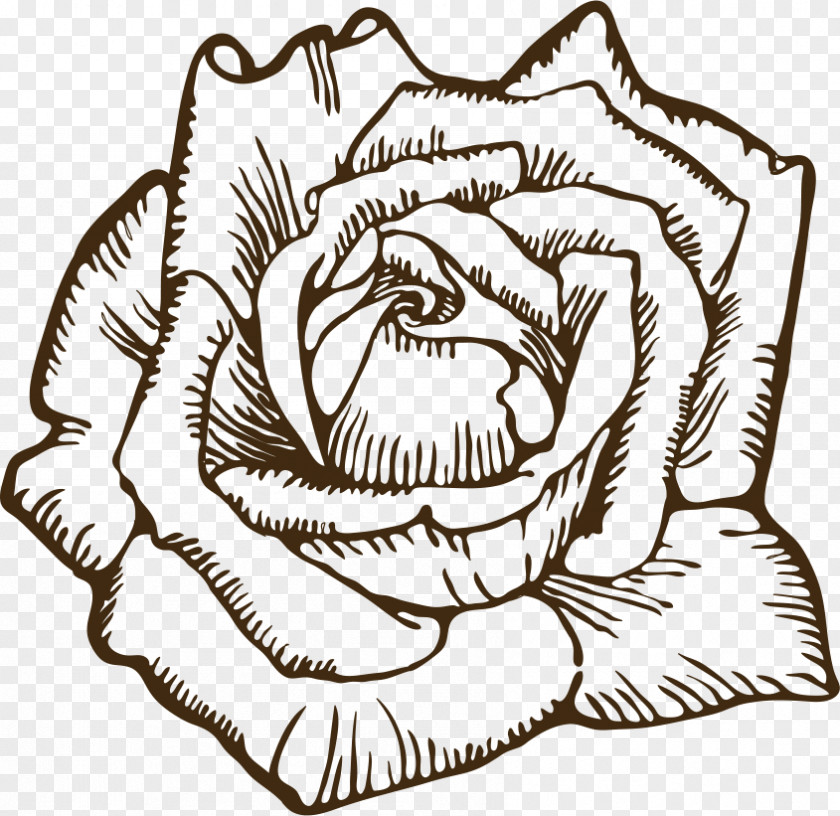 Rose Drawing Clip Art PNG