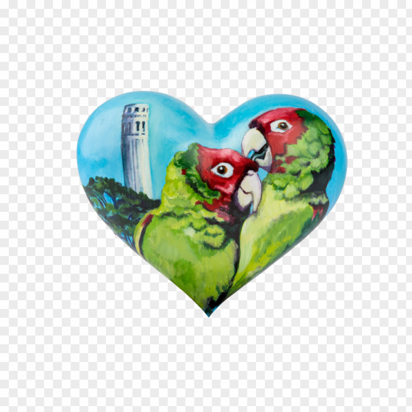 Teacher Macaw Hearts In San Francisco Charles Zukow & Associates Animal Connection II Artist PNG