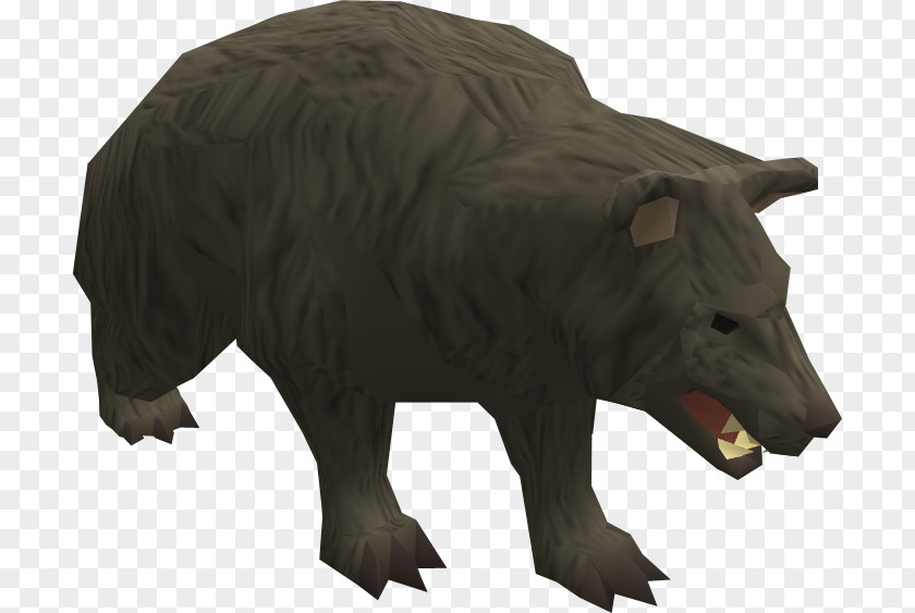 Bear RuneScape American Black Brown Grizzly PNG