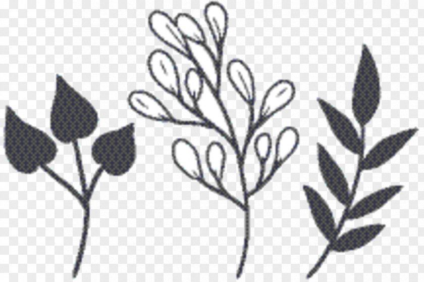 Branch Pedicel Leaf Drawing PNG