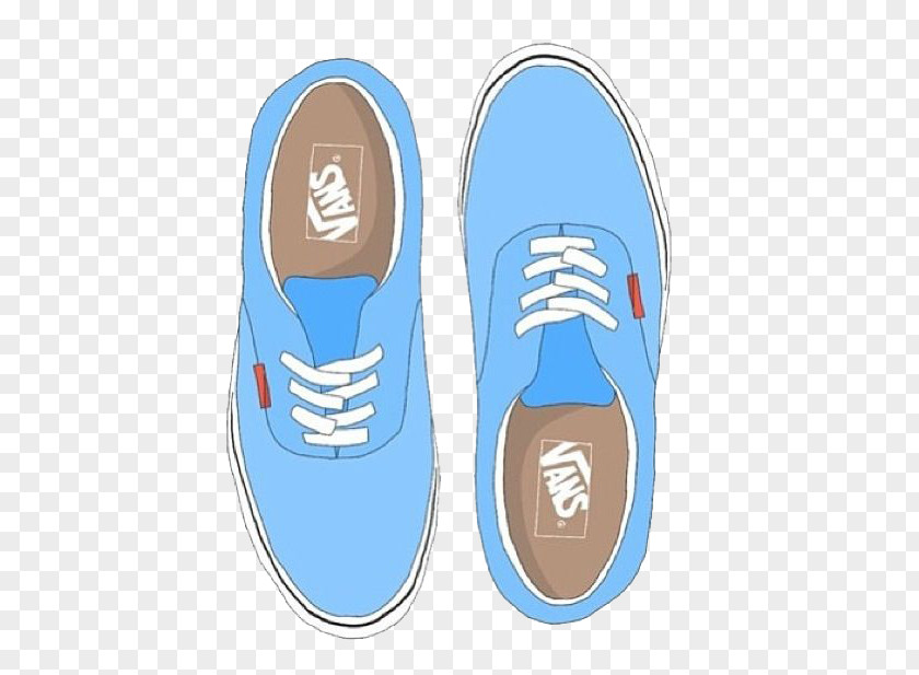 Convers Vans Shoe Converse PNG