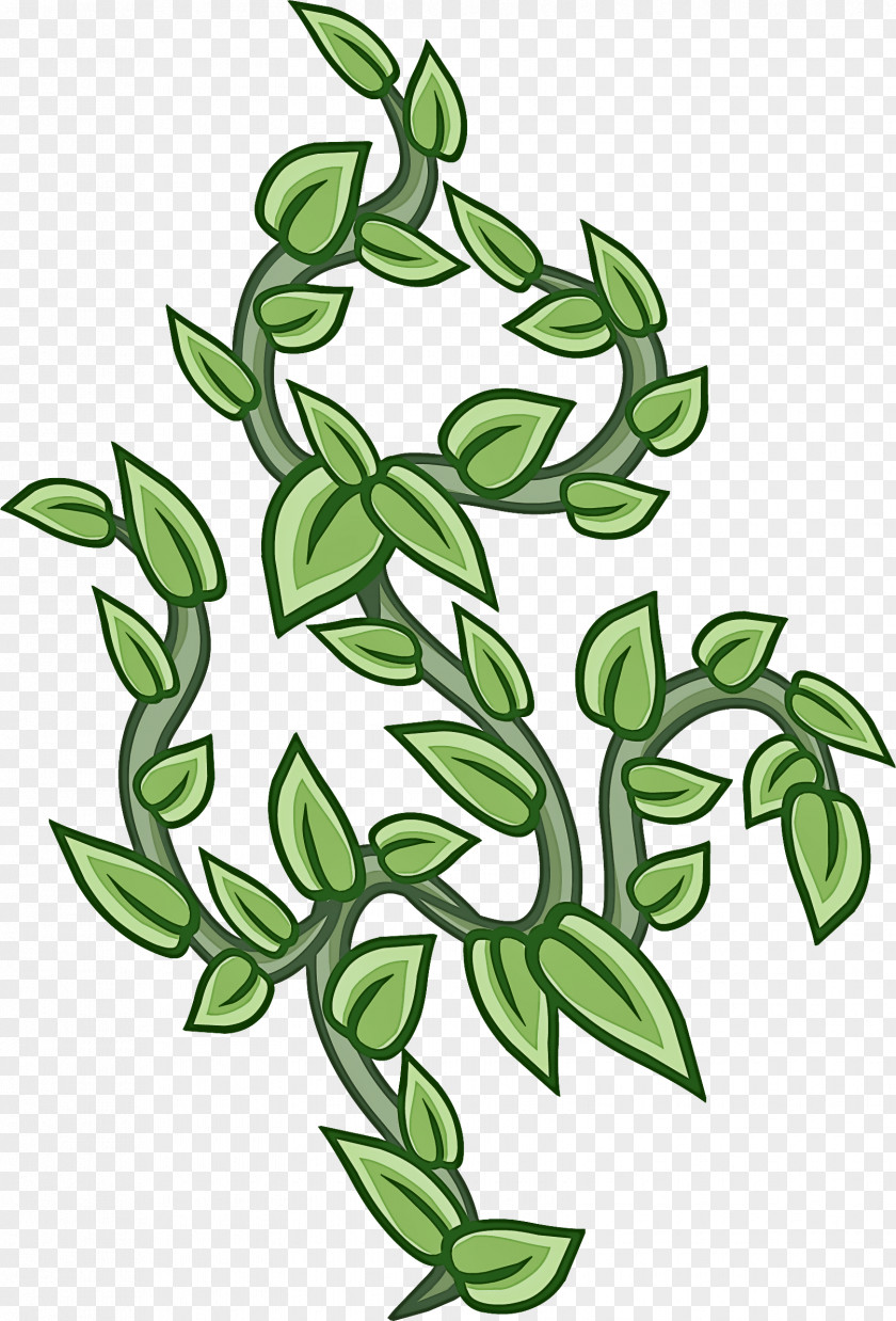 Grass Flowering Plant Leaf Flower Green Branch PNG