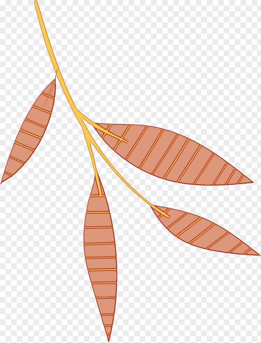 Leaf Line Plants Biology Plant Structure PNG