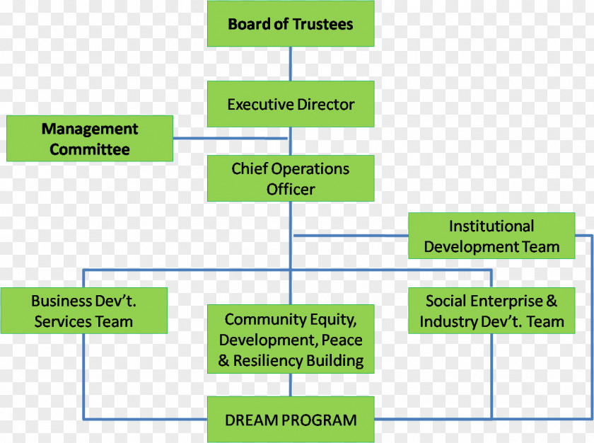 Organization Structure Non-Governmental Organisation Organizational Board Of Directors Chairman PNG
