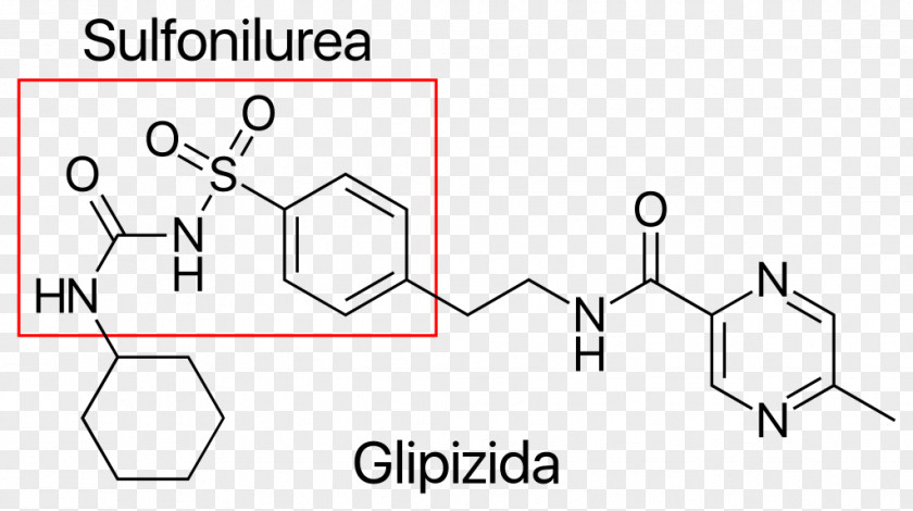 Urea Glipizide Sulfonylurea Chemical Compound Substance Chemistry PNG