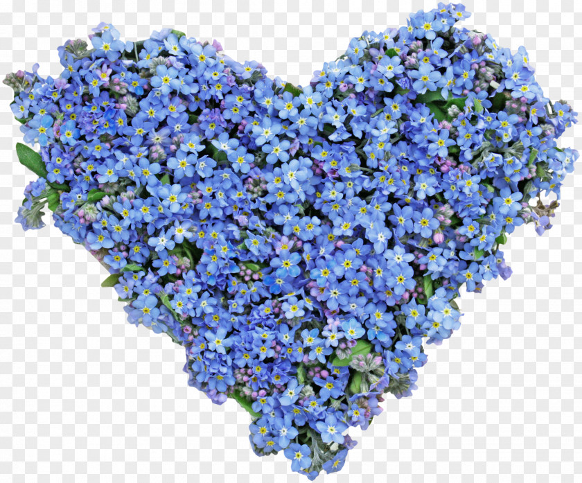 Blue Flower Heart Stock Photography Royalty-free PNG