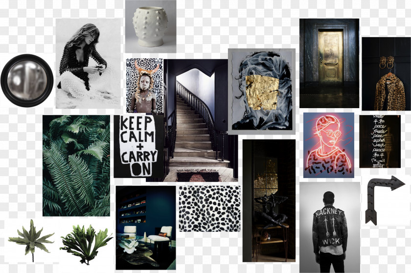 Collage Mood Board Photography PNG