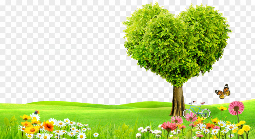 Free Love Trees Pull Material Tree Man Family PNG