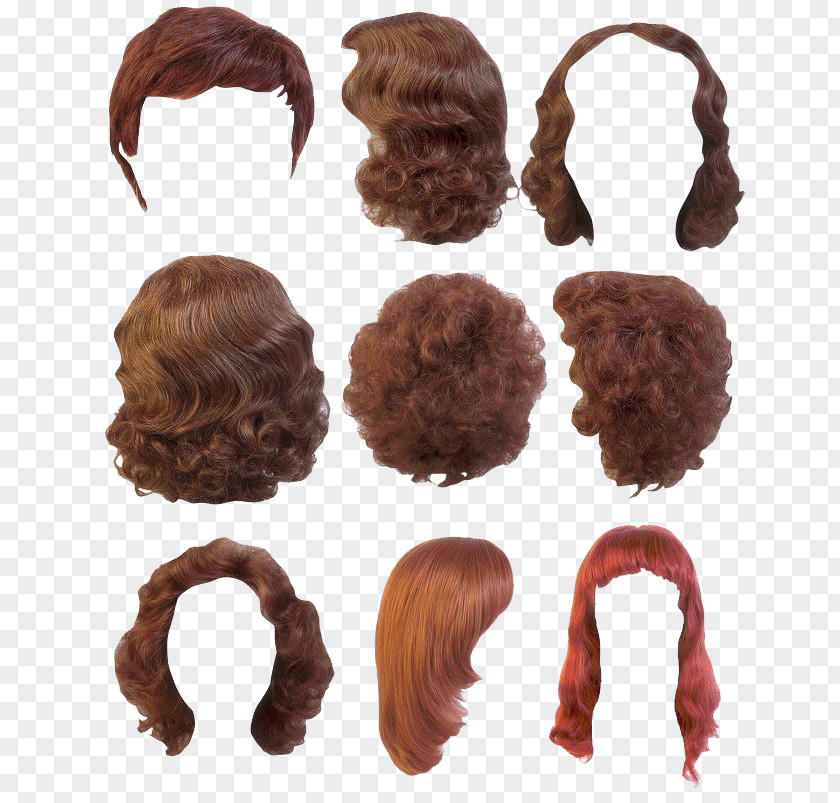 Hairy Hair Wig Hairstyle PNG