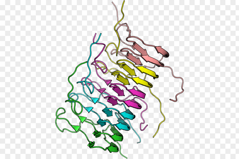 National Institutes Of Health Institute Diabetes And Digestive Kidney Diseases Computer Science NIH Protein PNG