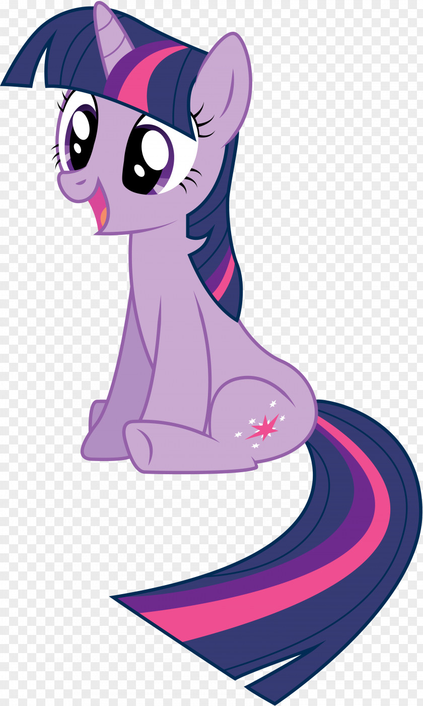 Twilight Pony Sparkle Horse Applejack Art PNG