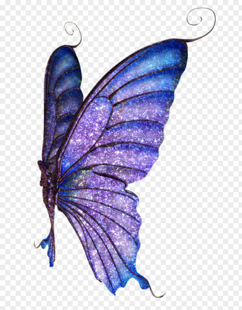 Butterfly Brush-footed Butterflies Moth Fairy Glitter PNG