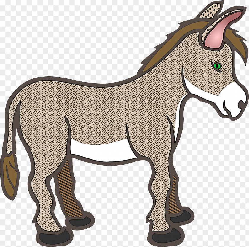 Colt Mare Animal Figure Burro Horse Cartoon Mane PNG