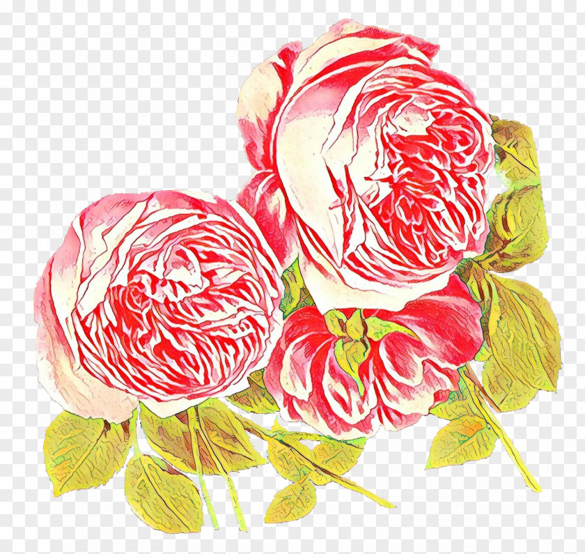 Rose Family Peony Pink Flower Cartoon PNG
