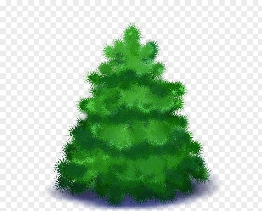 Spruce New Year Tree Christmas Day PNG