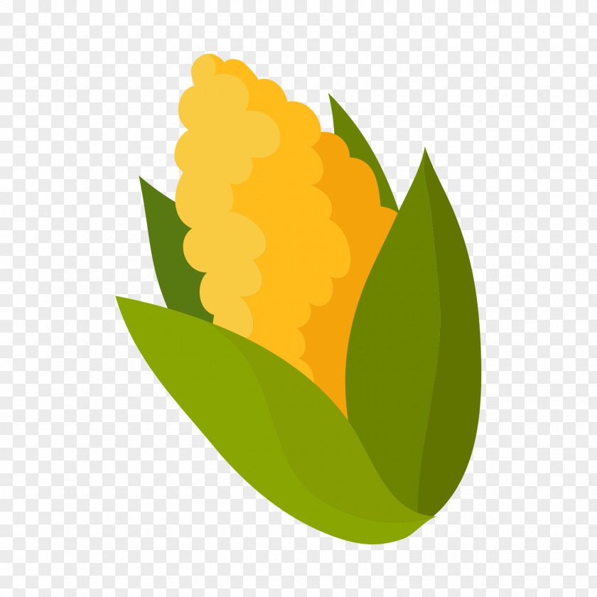 Yellow Green Corn Nutrient Maize PNG