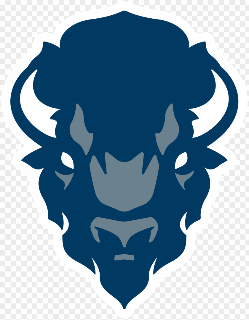 Basketball Howard University Bison Football Men's Women's Bethune Cookman PNG