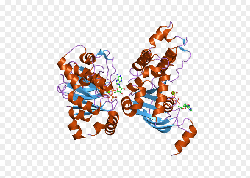 Cystic Fibrosis Transmembrane Conductance Regulator Mutation ΔF508 Gene Membrane Protein PNG