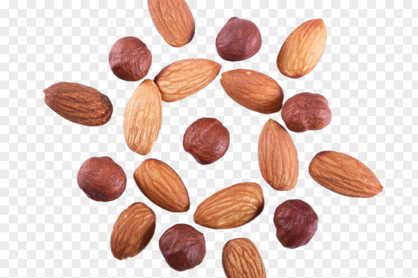 Hazelnut Almond Nuts Dried Fruit PNG