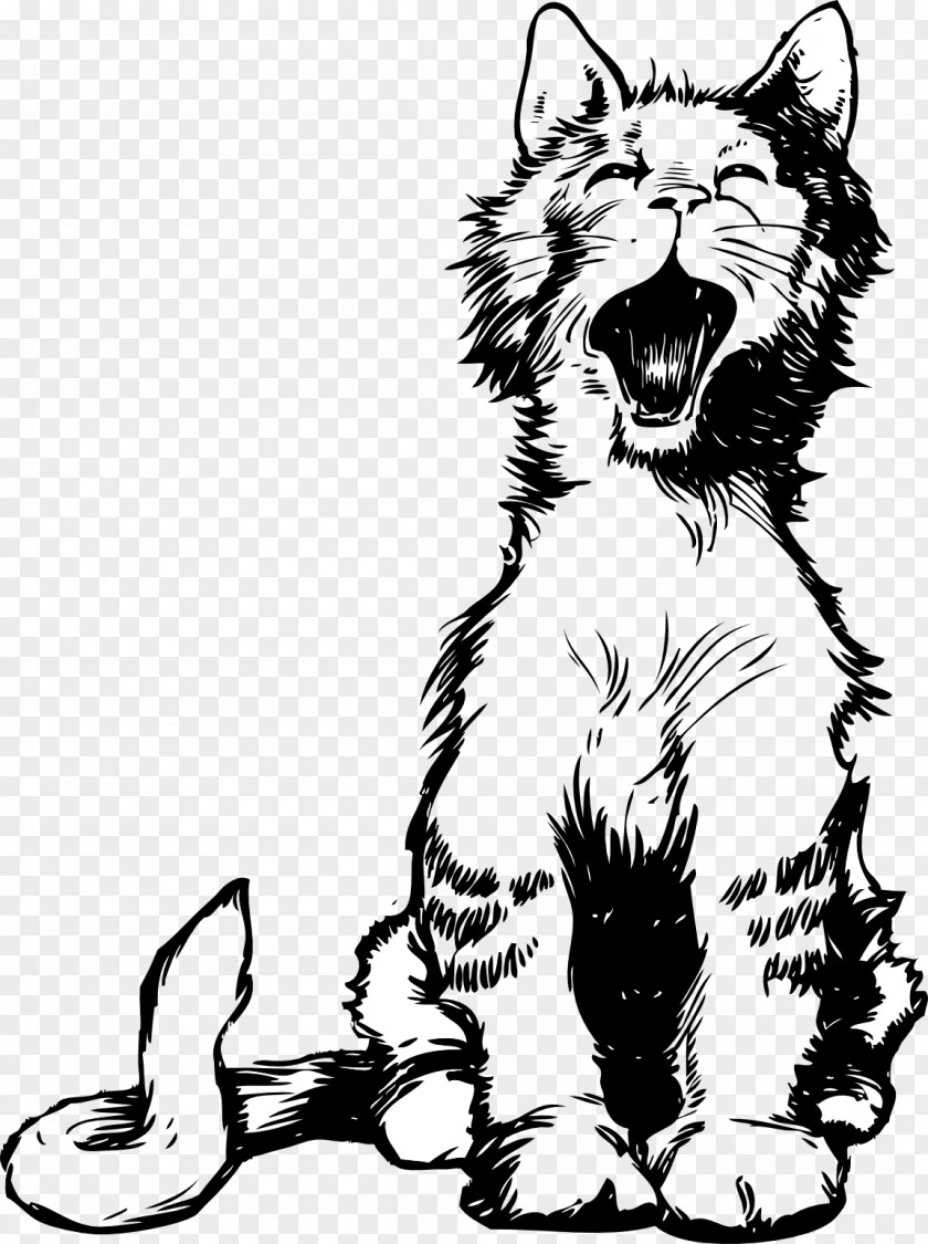 Line Art Cat British Shorthair Kitten Clip Women Meow PNG