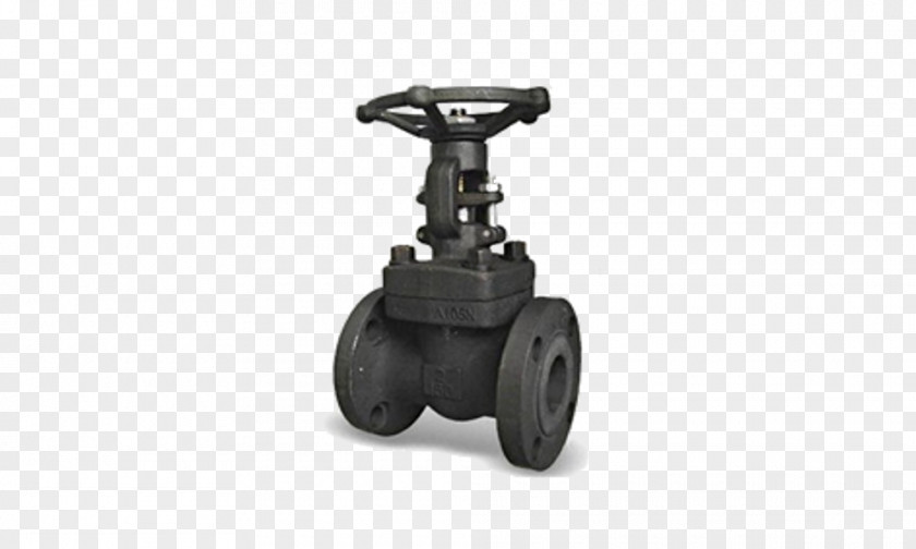 Seal Globe Valve Gate Steel PNG