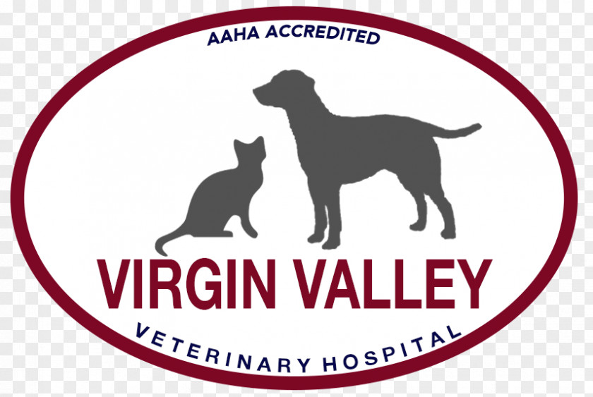 Valley Fever In Dogs Virgin Veterinary Hospital Dog Breed High School Veterinarian PNG