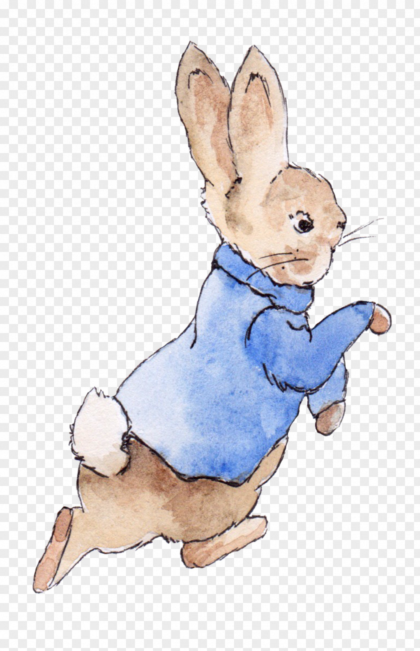 Watercolor Retro Rabbit Domestic Painting Cartoon Drawing Illustration PNG