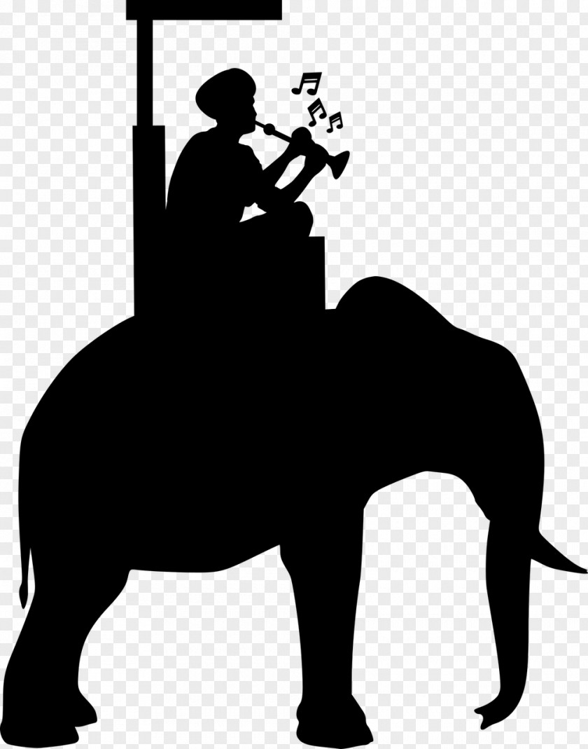 Equestrianism Violin Family Elephant Cartoon PNG