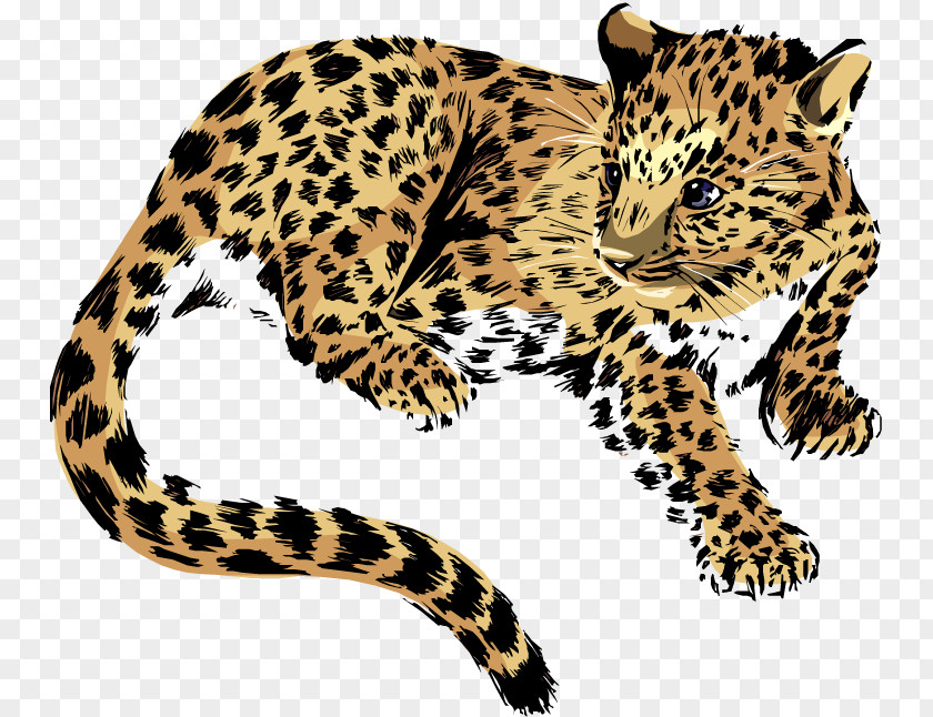 Mongoose Animal Pictures Jaguar E-Type Clip Art PNG
