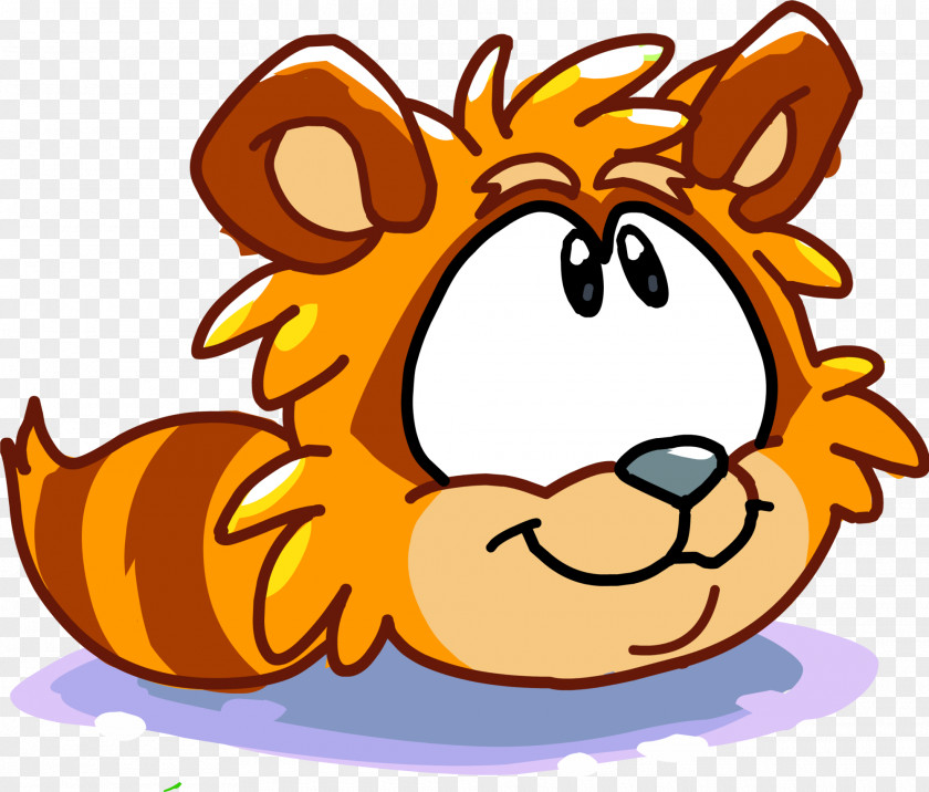 Raccoon Club Penguin Entertainment Inc Wiki Whiskers PNG