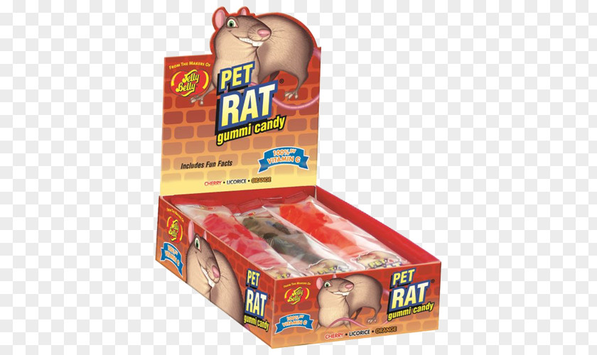Rat Gummi Candy Jelly Bean The Belly Company PNG