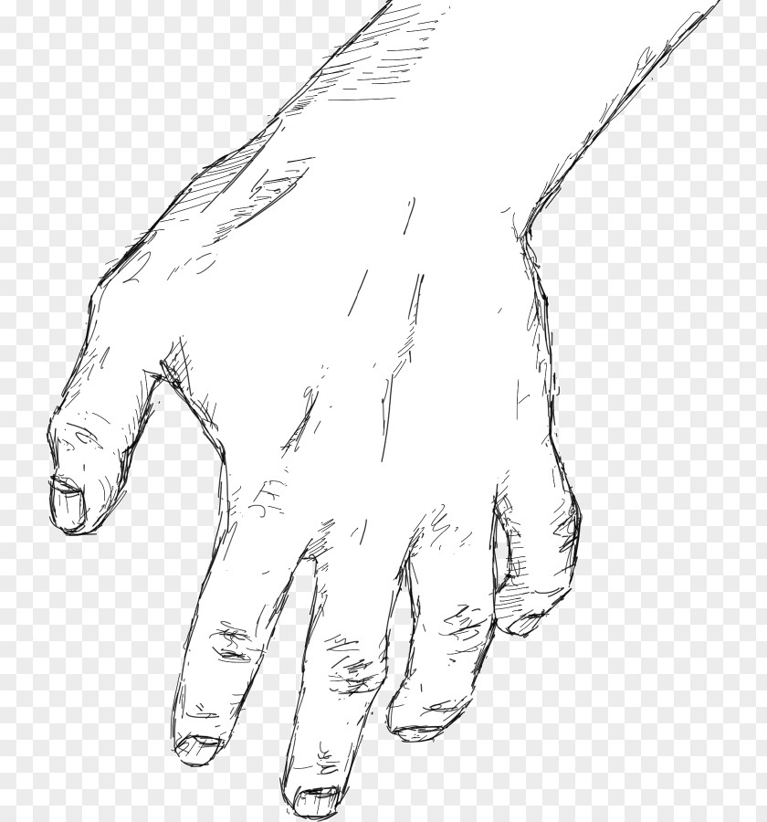 Thumb Hand Model Drawing Sketch PNG