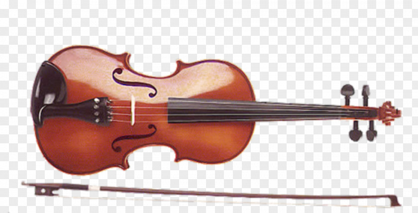 Violin Musical Instruments String Double Bass Bow PNG